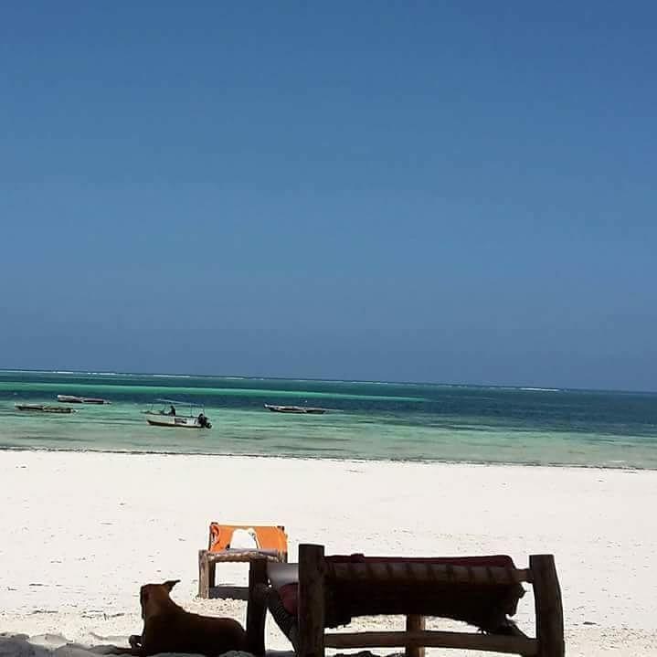 Sipano Beach Lodge Kiwengwa  Exterior foto
