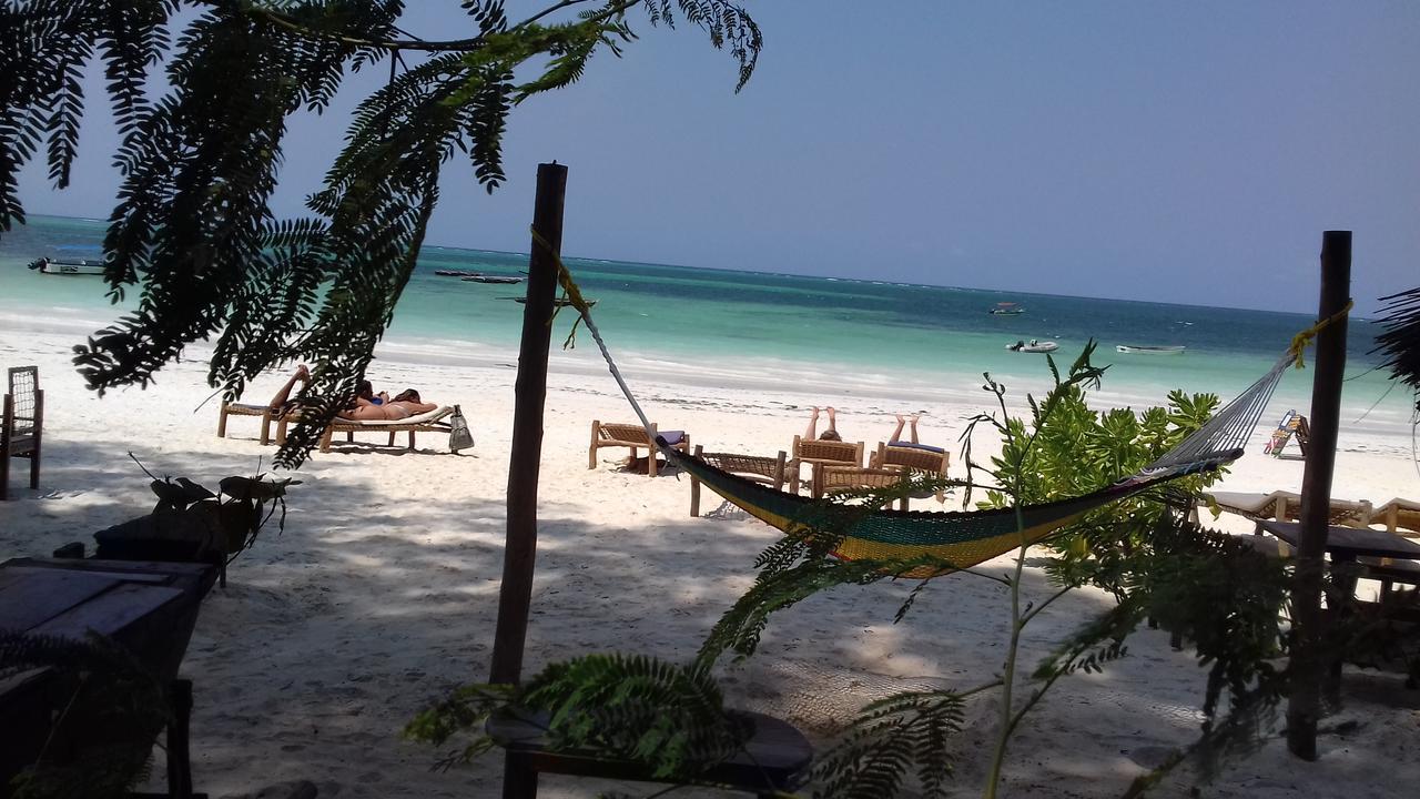 Sipano Beach Lodge Kiwengwa  Exterior foto