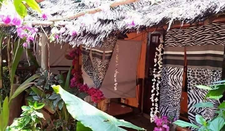 Sipano Beach Lodge Kiwengwa  Habitación foto